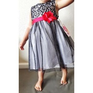Lace + Tule Special Occasion Dress 2T